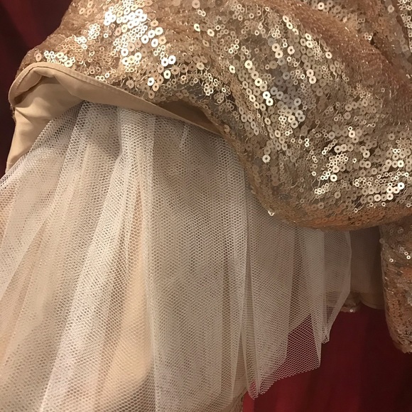 Champagne Dress - Picture 5 of 5